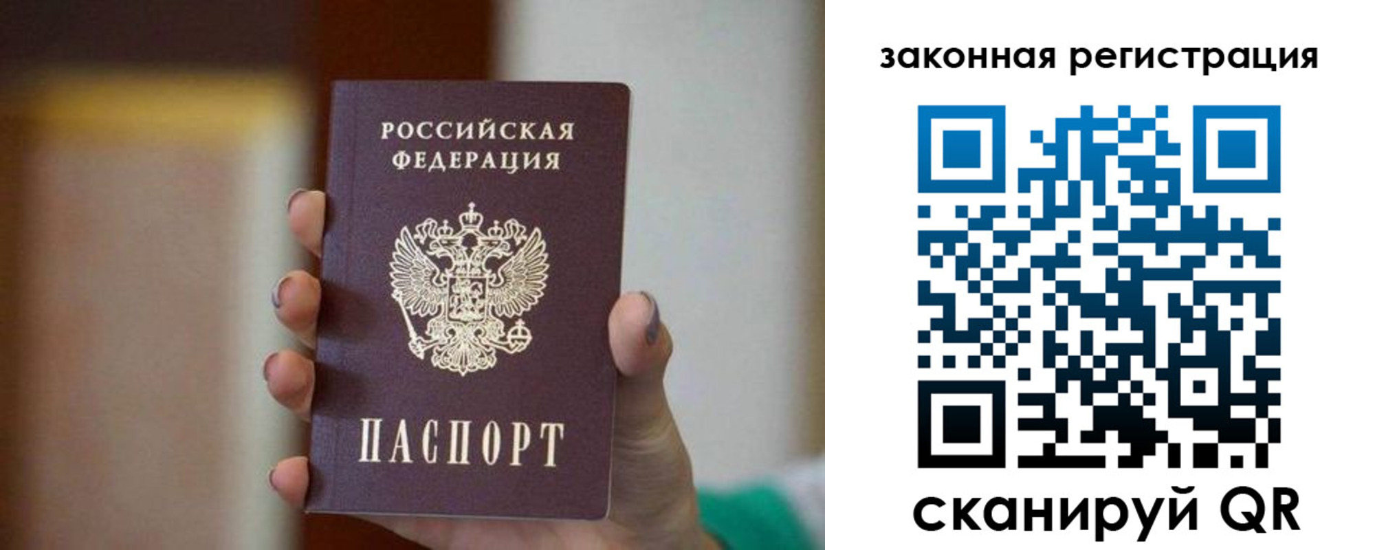 где прописаться в Электрогорске